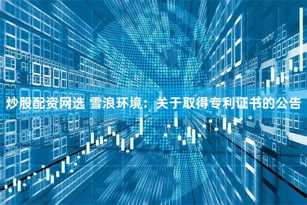 炒股配资网选 雪浪环境：关于取得专利证书的公告