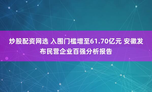 炒股配资网选 入围门槛增至61.70亿元 安徽发布民营企业百强分析报告