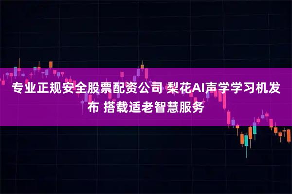 专业正规安全股票配资公司 梨花AI声学学习机发布 搭载适老智慧服务